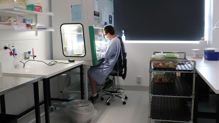 Researcher in the procedure room lab