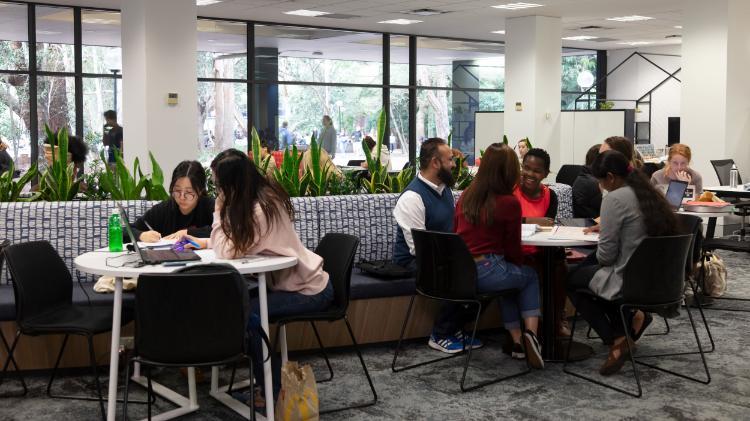 Students busily studying in the collaborative spaces on the Ground Floor of Wollongong Campus Library