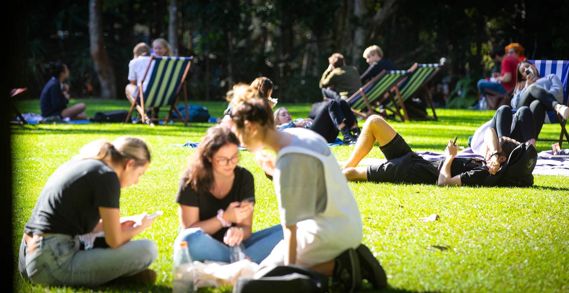 A photo of students relaxing on the lawn at UOW. Photo: Paul Jones