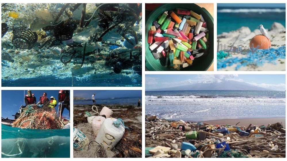 ocean debris collage of photos