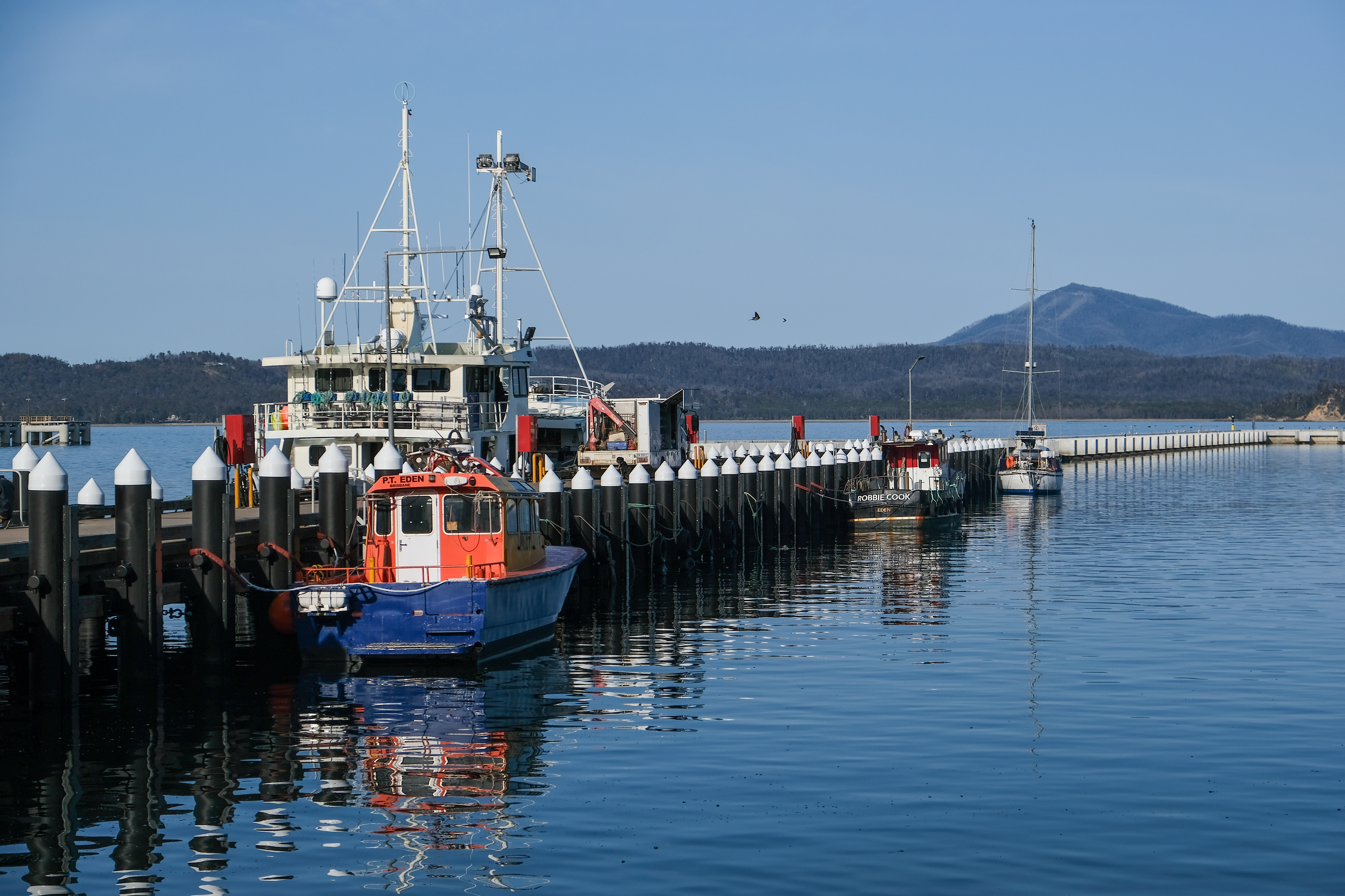 Wharf with boats, mountain in the background. Blue sky. Eden, NSW