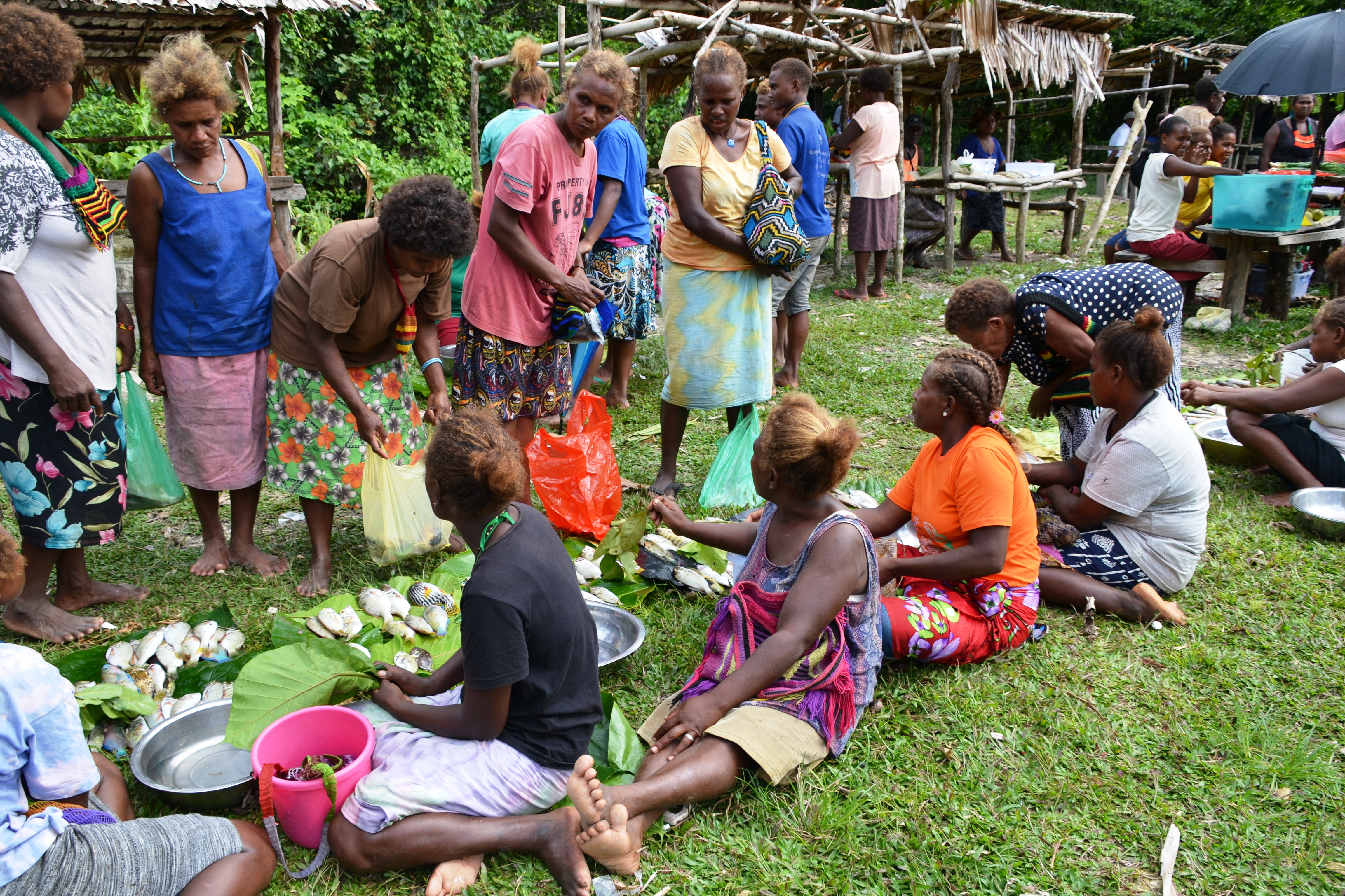 Women barter fish for root crops, Takwa market, North Malaita, Solomon Islands