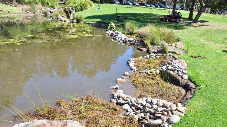 Admin pond plantings being conducted in 2016