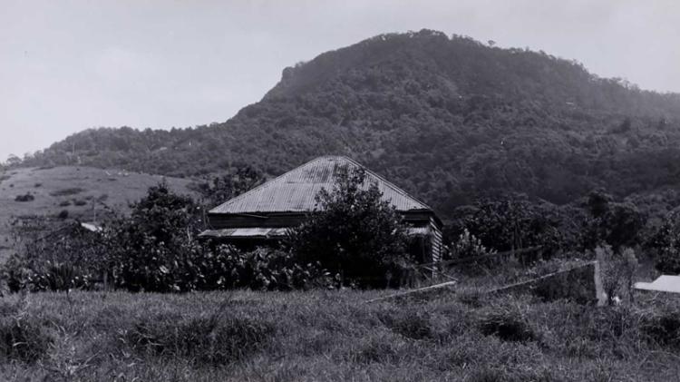Orange grove farm in 1950's. Source: https://www.flickr.com/photos/uowarchives/6243043666/in/album-72157627787997885/ 
