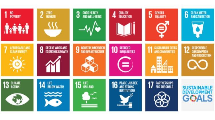 Infographic of the United Nations Sustainable Development Goals