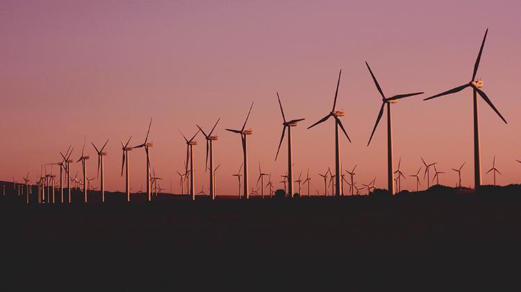 Wind farm with sunset