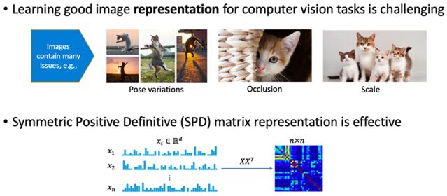 Efficiently Learning Large-sized Symmetric Positive Definite Visual Representation