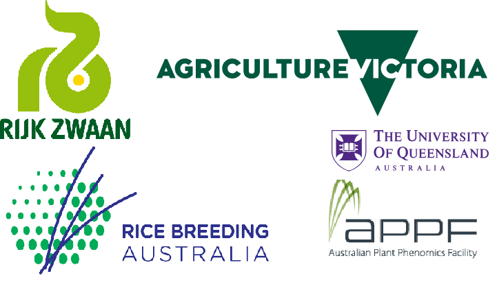 Logos of gold collaborators: Rijk Zwaan; Agriculture Victoria - National Lentil Breeding Program; Rice Breeding Australia; Australasian Plant Phenomics Facility - University of Adelaide; University of Queensland