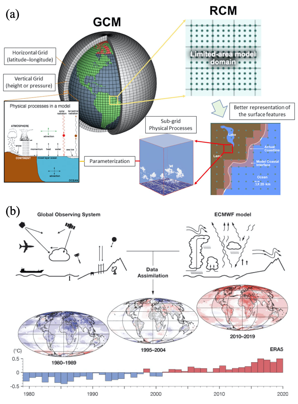Data sources commonly used for downscaling: (a) A General Circulation Model (GCM) providing boundary conditions for an RCM (Regional Climate Model); (b) A reanalysis climate product that uses assimilation and numerical models (e.g., ECMF) together, for example, the ERA5 renalysis data. In each case, their resolutions are usually too coarse for species-diversity studies.