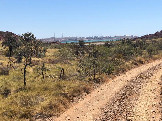 Western Australia's Burrup Strategic Industrial Area: Photo taken from Murujuga National Park