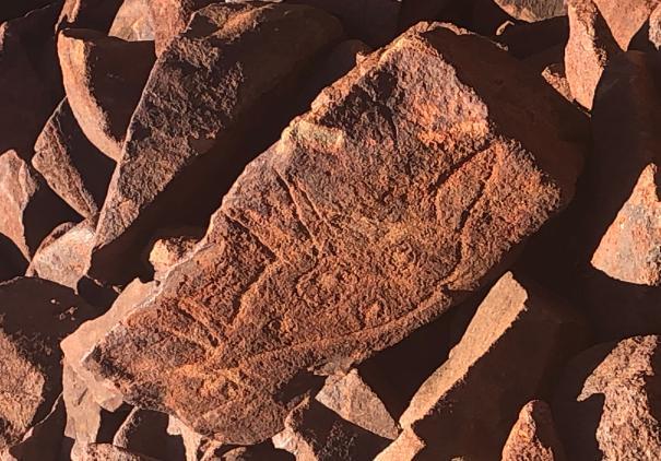 Murujuga Kangaroo Petroglyph