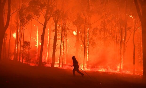  Firefighters tackle the Gospers Mountain fire outside Sydney