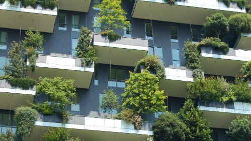 Trees_balconies_apartment_city_living