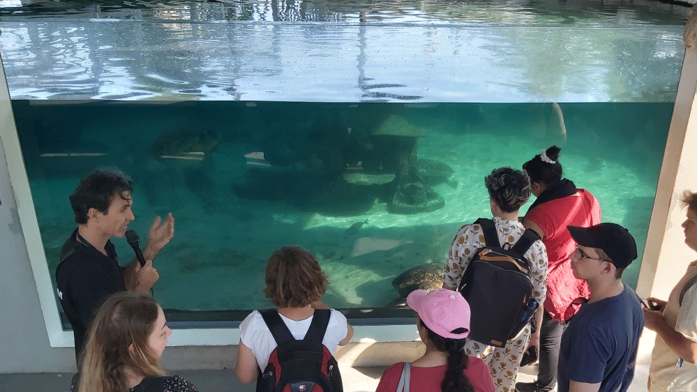 Children at aquarium looking into tank