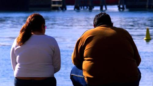 Two overweight people sitting with backs towards camera