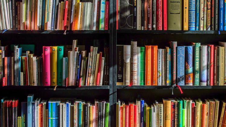 Books with various coloured spines in two black three level shelves