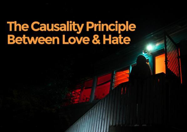 The Causality Principle Between Love and Hate artwork