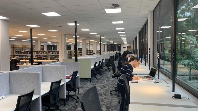 Several students studying in the library