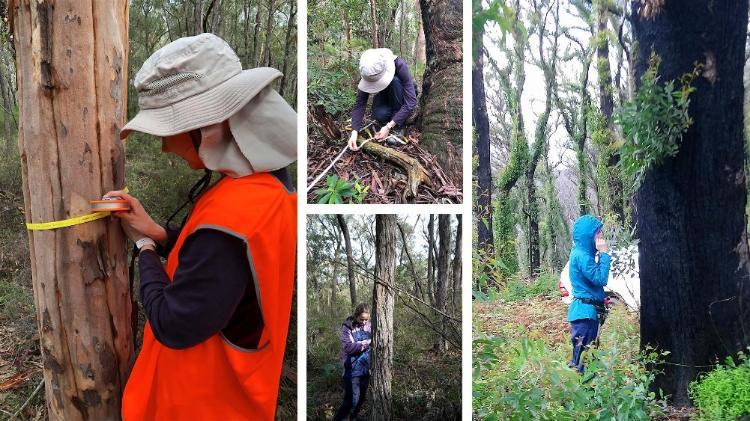 PhD candidate Harriet Simpson-Southward out in the field collecting data for her thesis