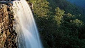 An image of Fitzroy Falls waterfall