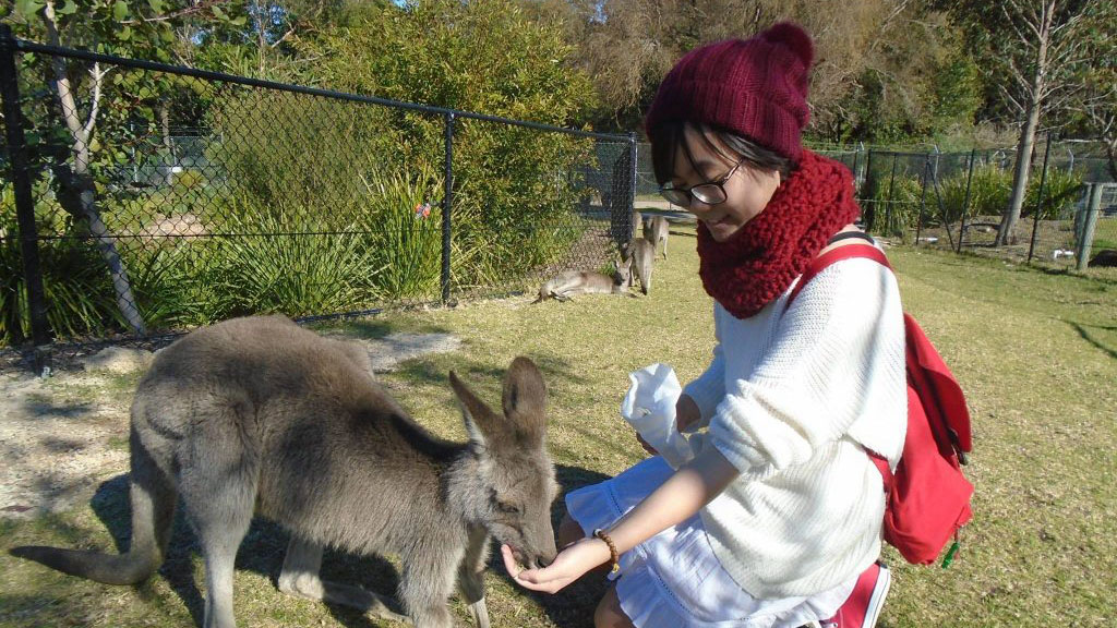 Hop Dao feeding a kangaroo