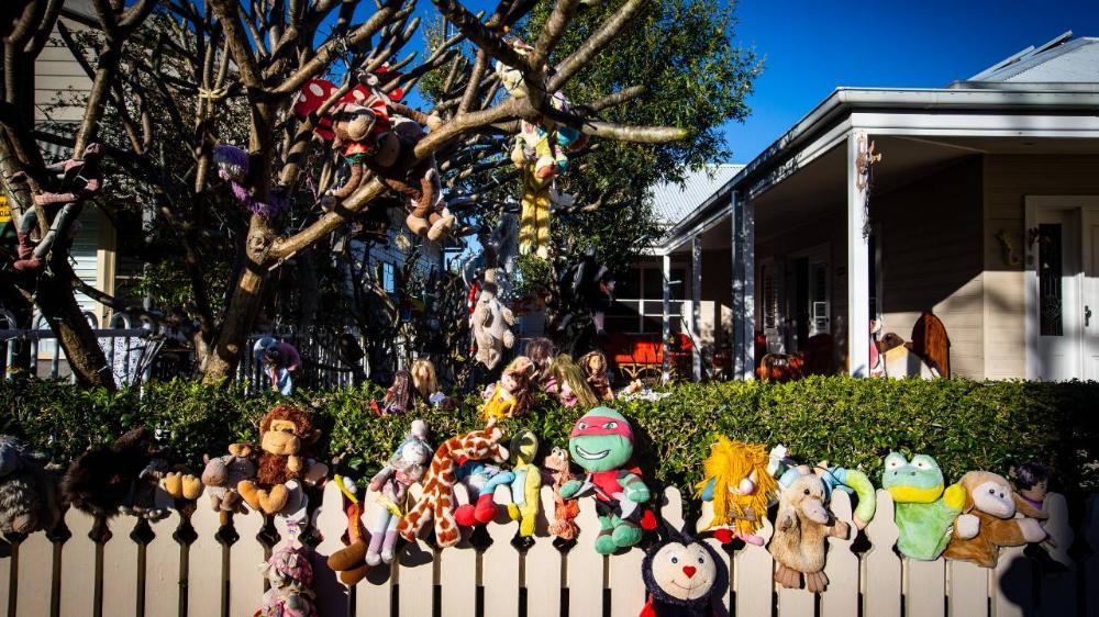 Unique Illawarra front yards during Covid lockdown 2021