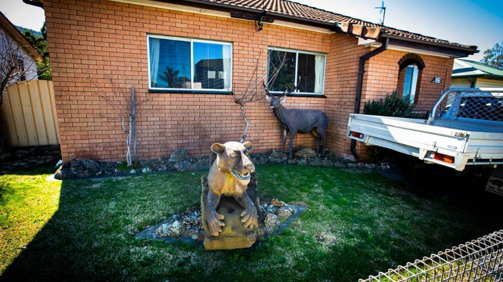 Unique Illawarra front yards during Covid lockdown 2021