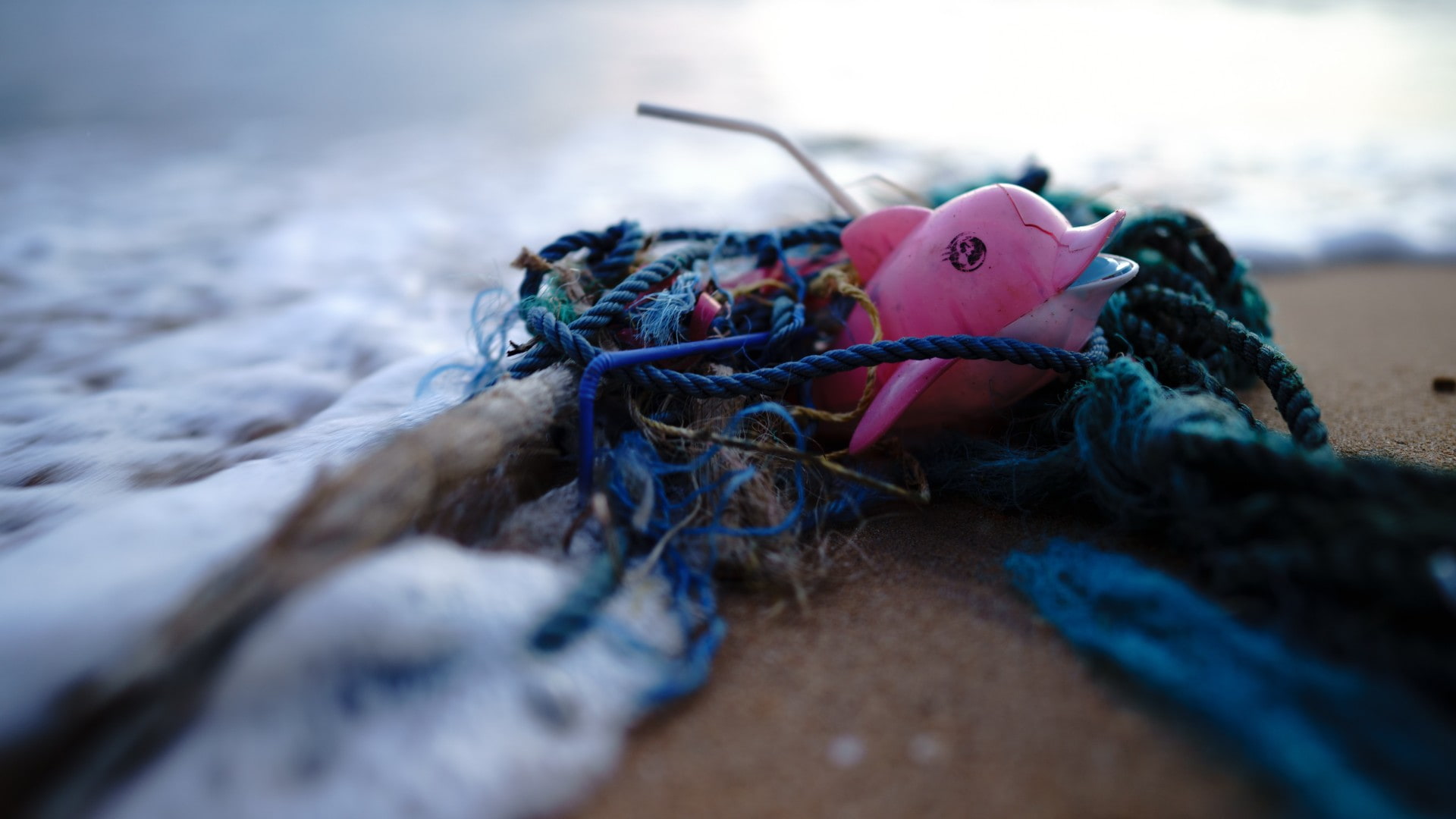 Rubbish on the shore of the beach, tangled in fishing line. Photo: Unsplash