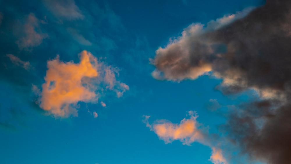 An image of a bright orange cloud that is shaped like a fish in the blue sky.