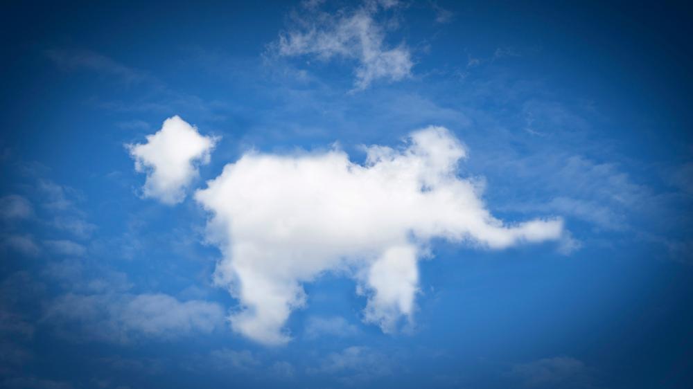 A white cloud shaped like an elephant running in the blue sky.