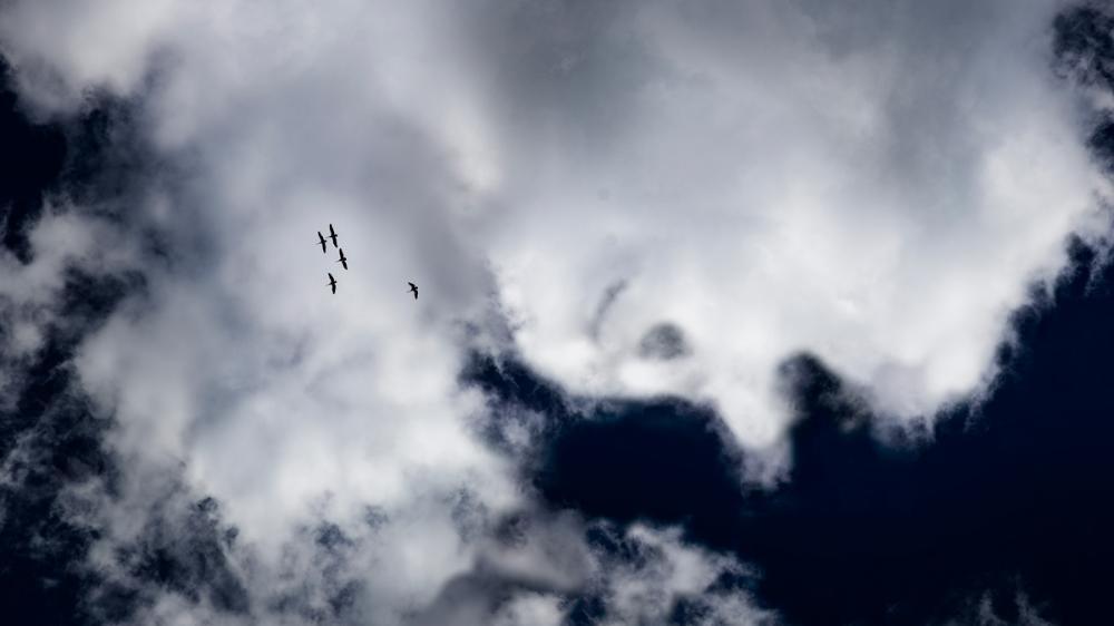 A white cloud shaped like a face profile in the dark blue sky.