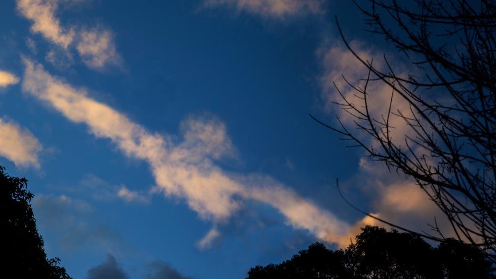 A cloud shaped like a flying duck in the blue sky.