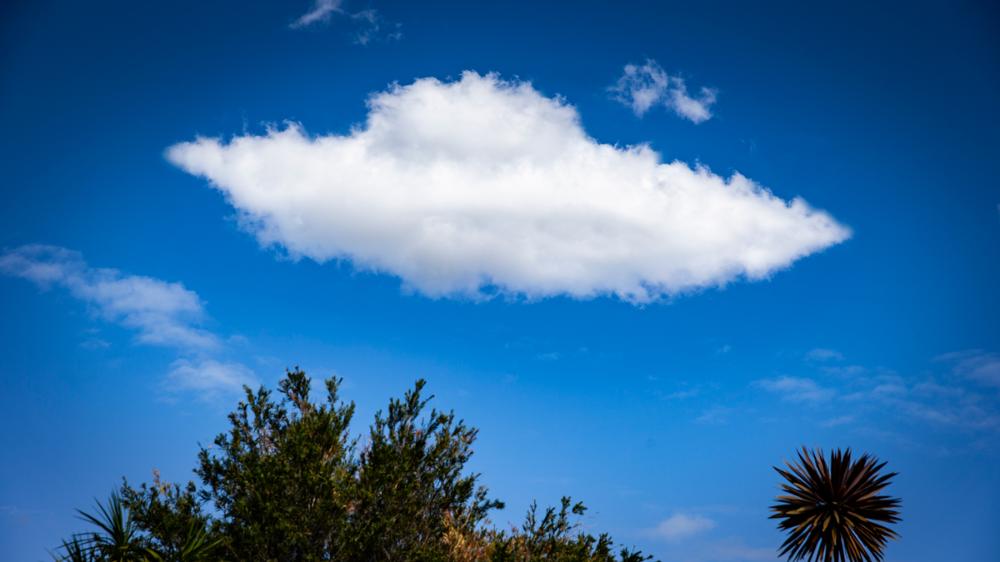White cloud shaped like a UFO above a tree in a blue sky