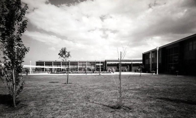 A black and white image of Wollongong campus in 1980. Photo: UOW Archives
