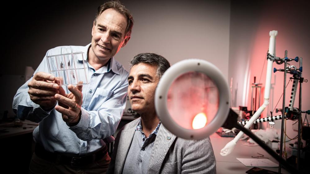 Geoff Spinks and Javad Foroughi look through a microscope. Photo: Paul Jones