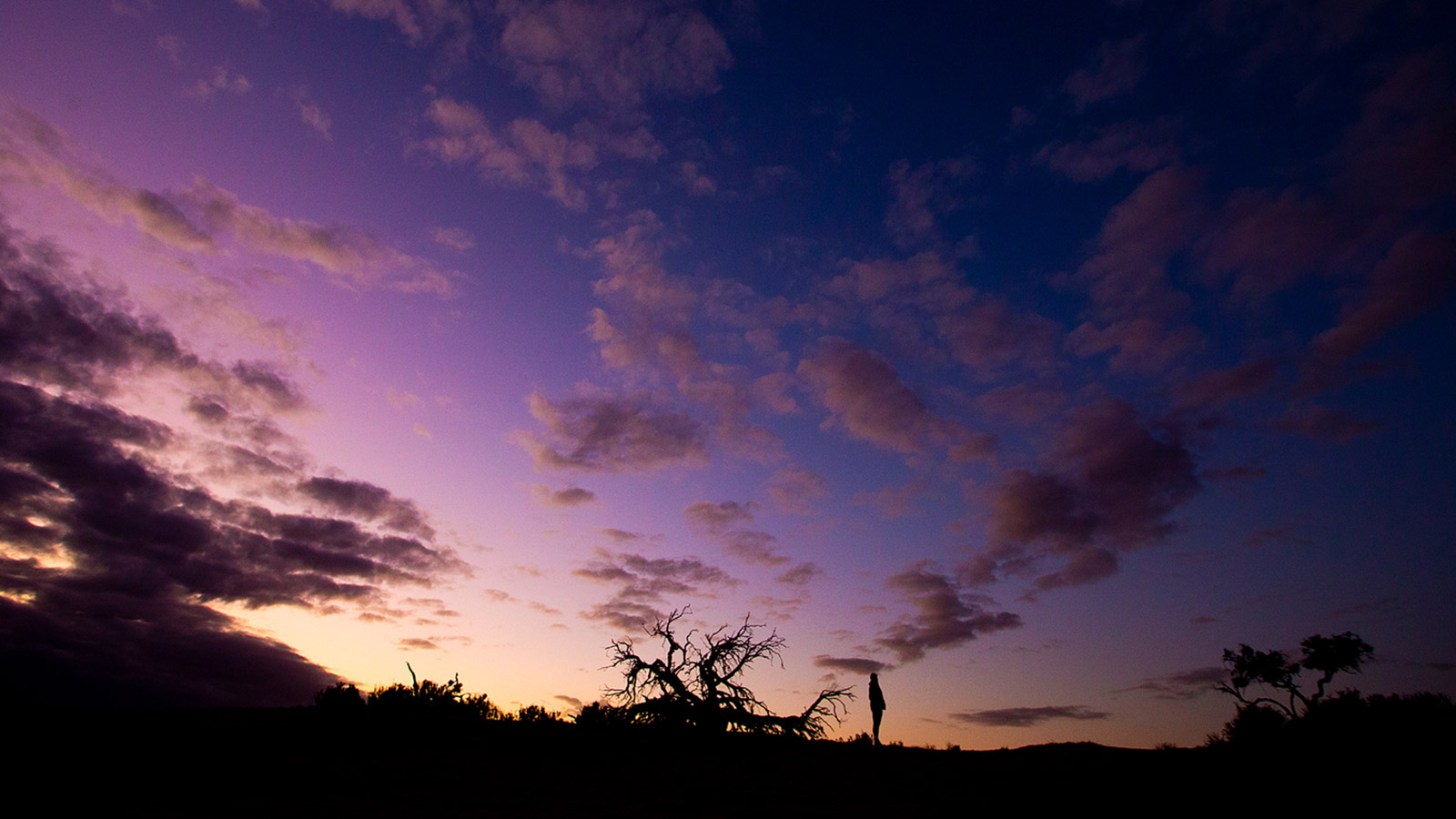 A purple sunset in the desert