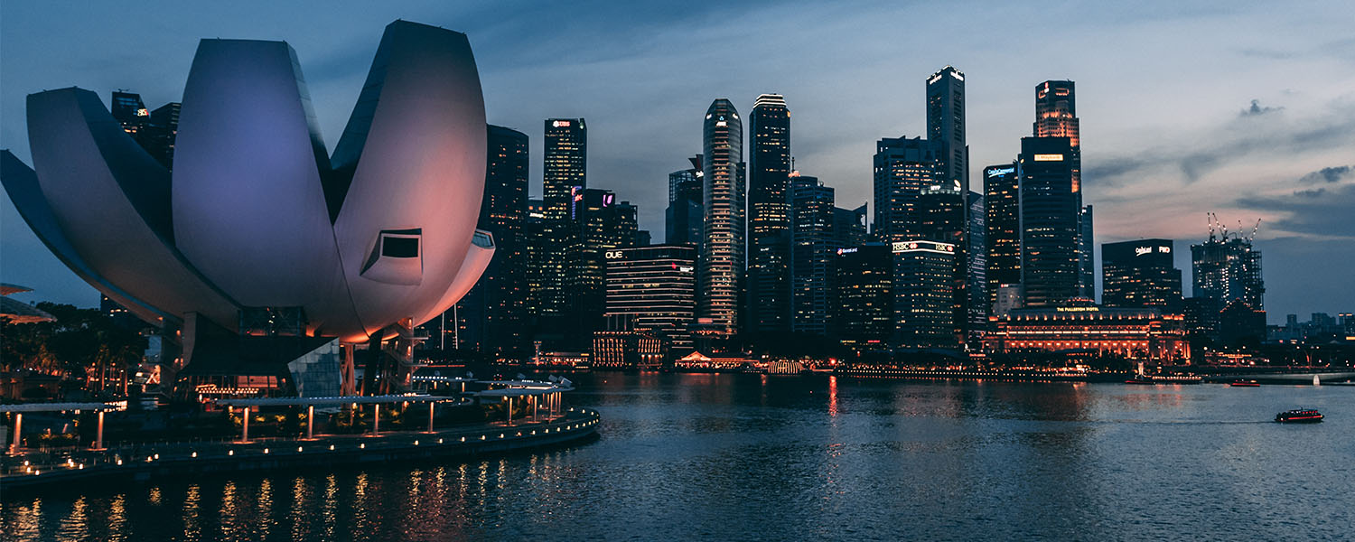 Singapore city skyling at night