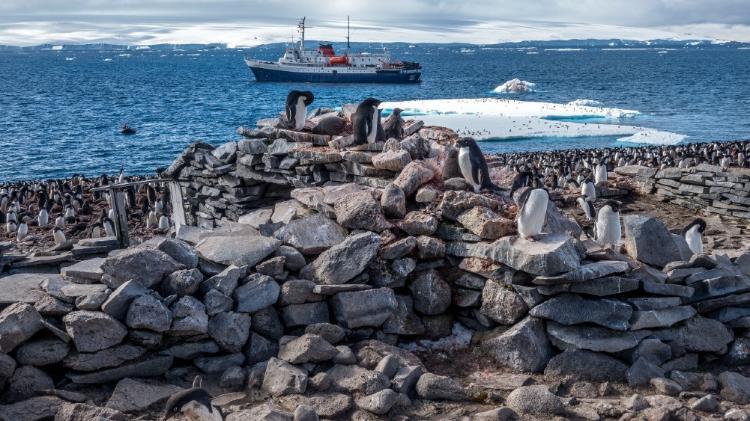 Penguin on rocks with ship in sea behind