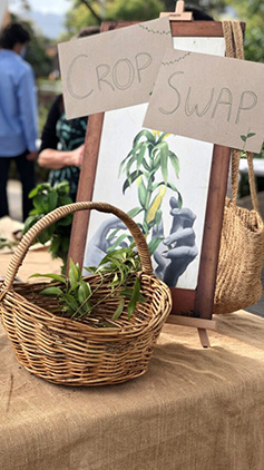 A basket with fresh leaves sits in front of a painting of a pair of hands, holding fresh leaves. On top of the painting is a 2 piece sign, piece 1 says crop, while piece 2 says swap. All of this is sitting on a table covered in hessian