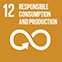 UN SDG 12 Responsible consumption and production