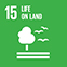UN SDG 15 Life on land