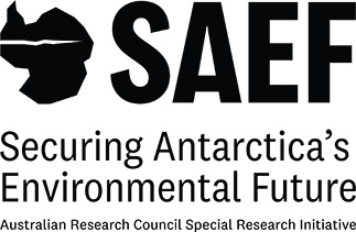 SAEF logo