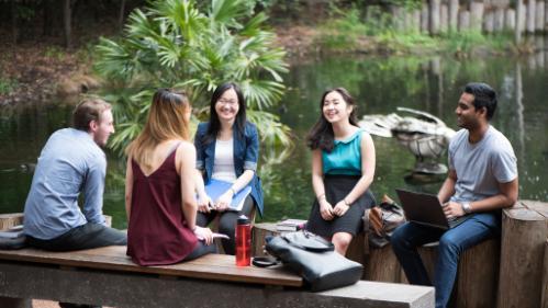 A group of international students sitting next to the duckpond