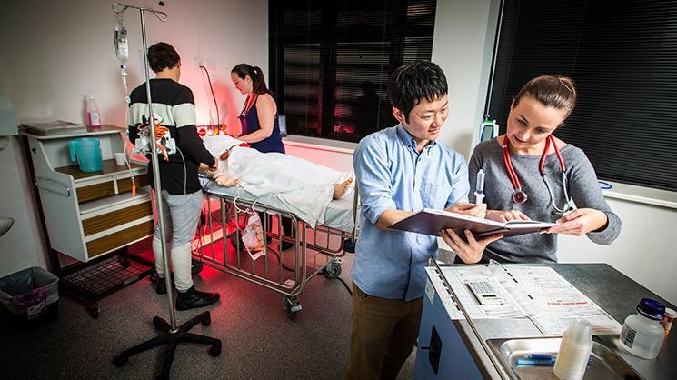 UOW students work in the UOW Medicine Clinical Skills Simulation Lab
