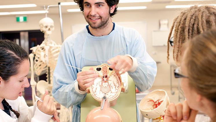 UOW medicine lecturer shows a brain to students