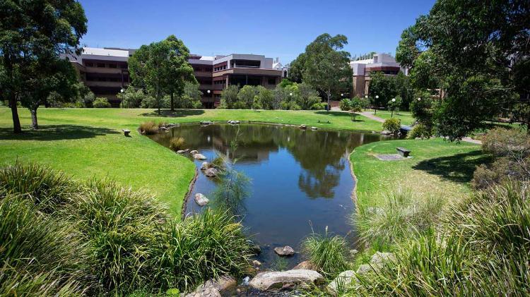 Wollongong campus showing greenery and pond