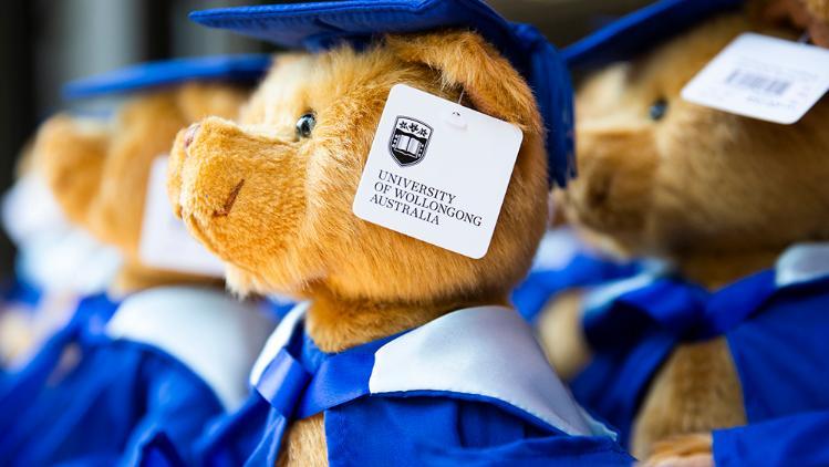 Image of a teddy bear dressed in a graduation gown