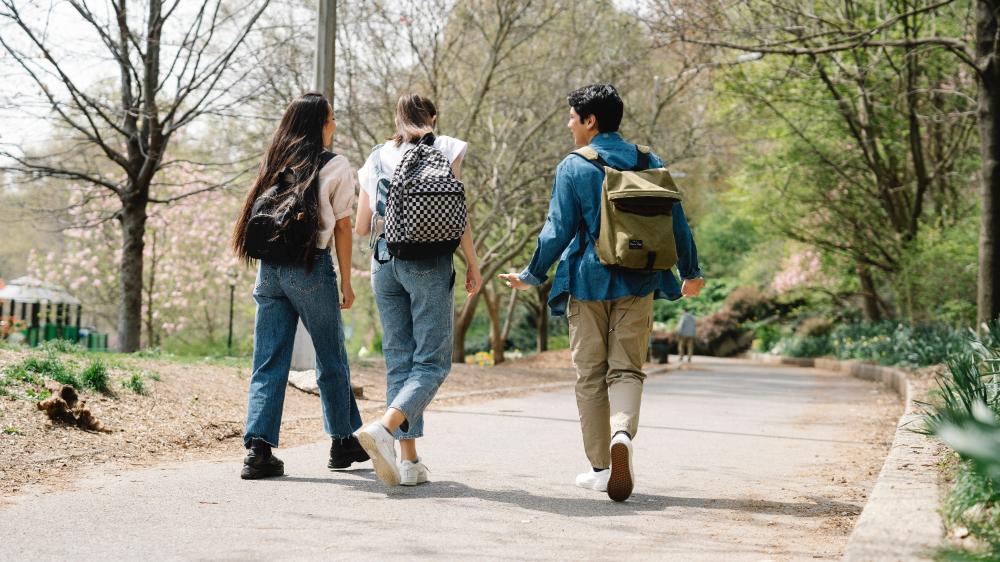 Three students walking in a park