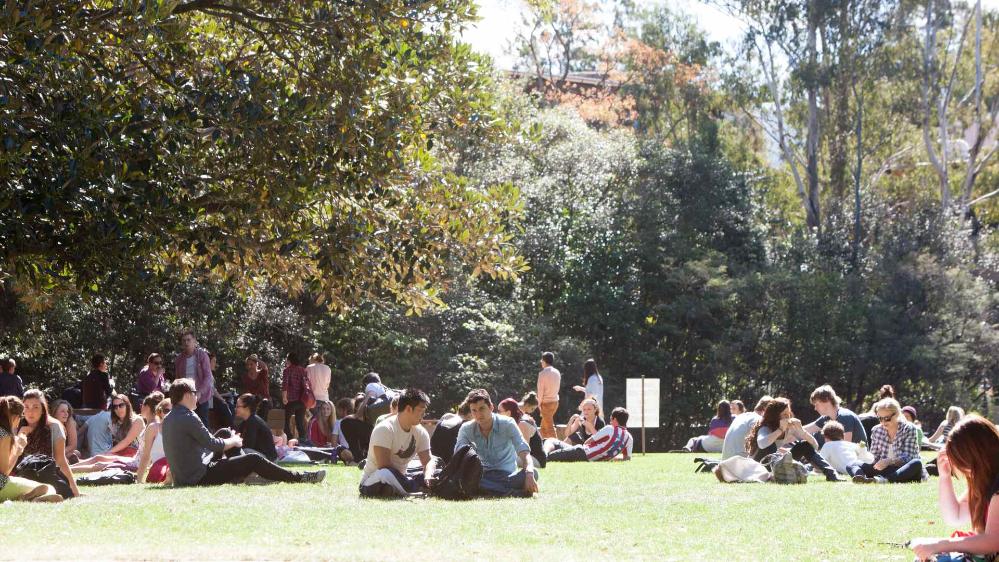 Students sitting on the Duckpond lawn on UOW campus
