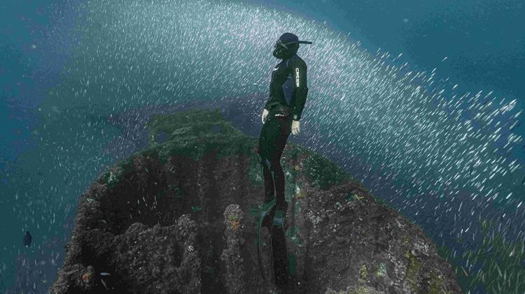 A scuba diver in a wetsuit stands on a coral reef surrounded by shimmering schools of small fish in a vibrant underwater scene.